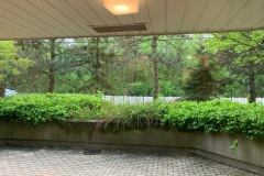 Bedroom view